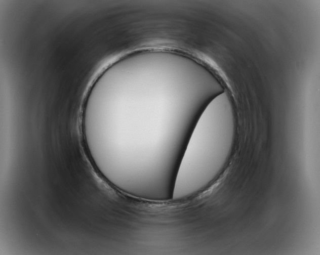 X0000087351421200704200755