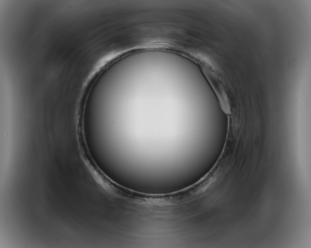 X0000087351422200704200755
