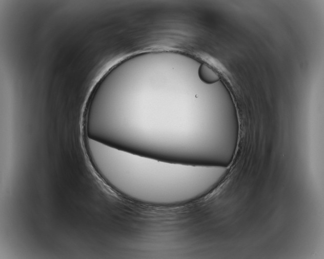 X0000087351423200704200755