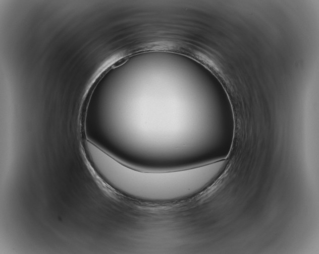 X0000087351426200704200755