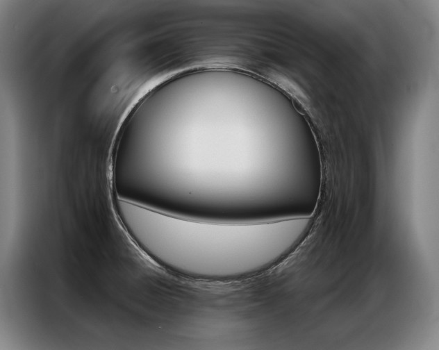 X0000087351428200704200755