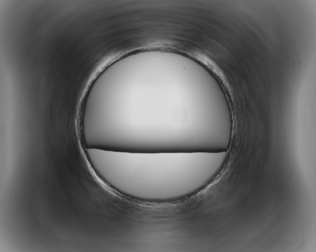 X0000087351429200704200755