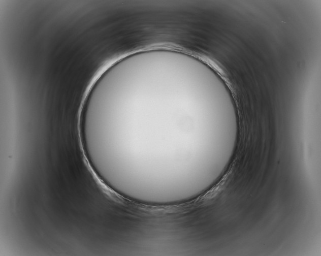 X0000087351430200704200755