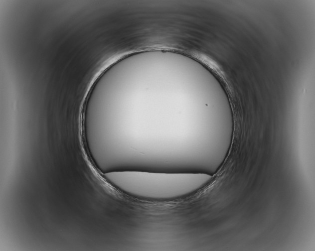 X0000087351431200704200755