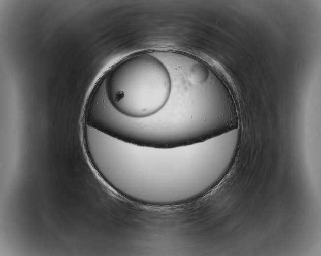 X0000087351432200704200755
