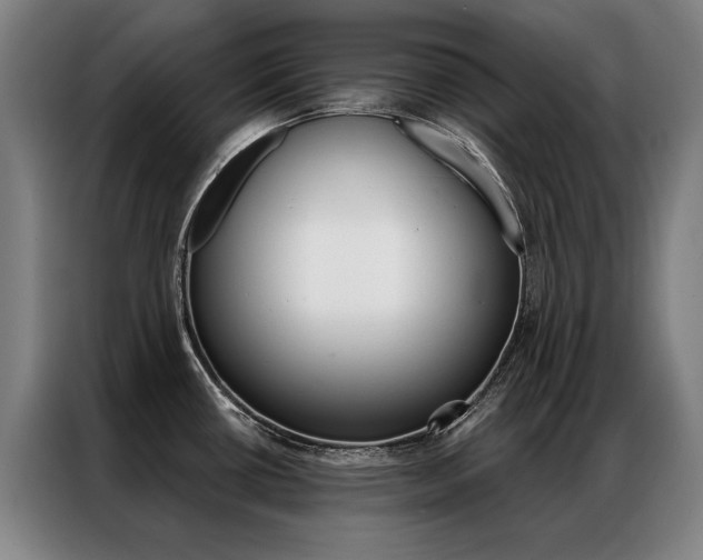 X0000087351434200704200755