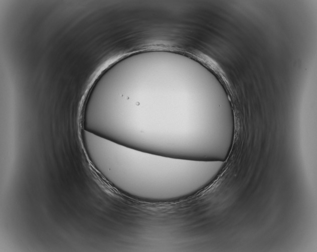 X0000087351435200704200755