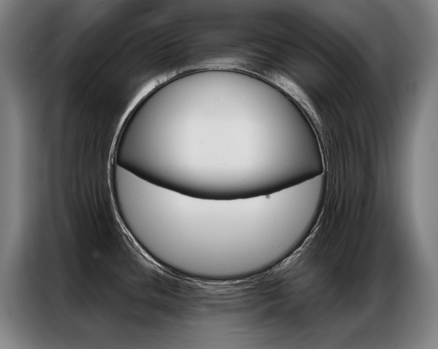 X0000087351436200704200755