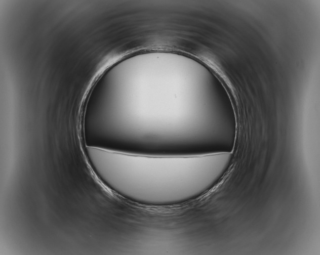 X0000087351437200704200755