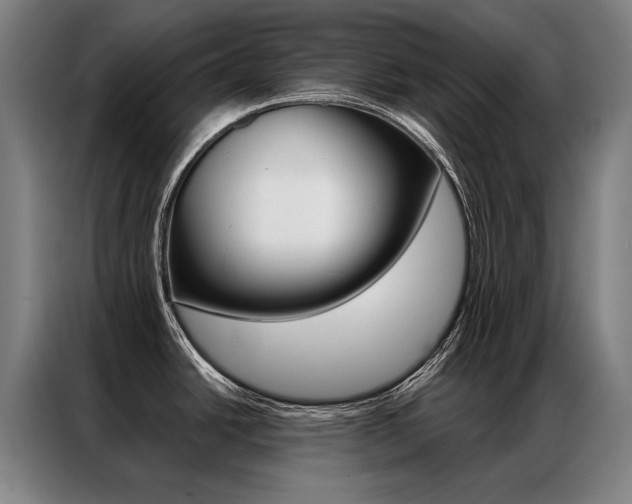 X0000087351438200704200755