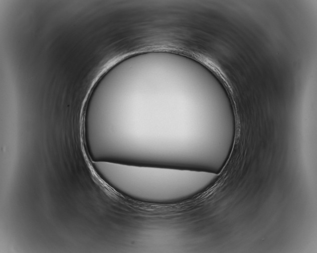 X0000087351439200704200755