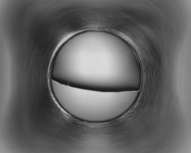 X0000087351440200704200755