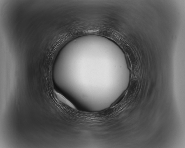 X0000087351441200704200754