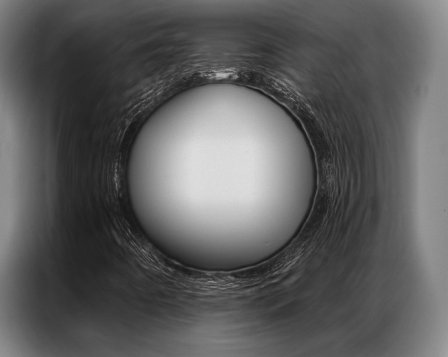 X0000087351442200704200754