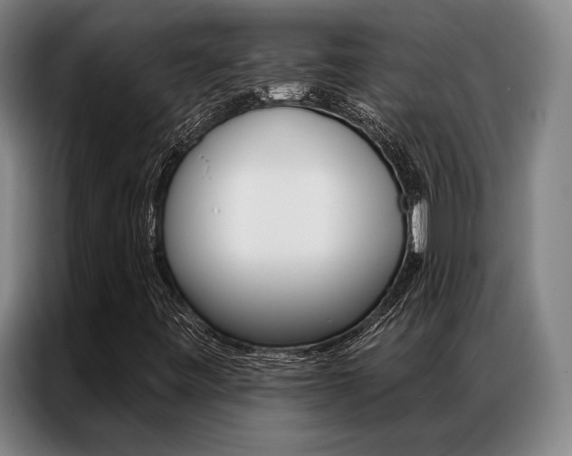 X0000087351443200704200754