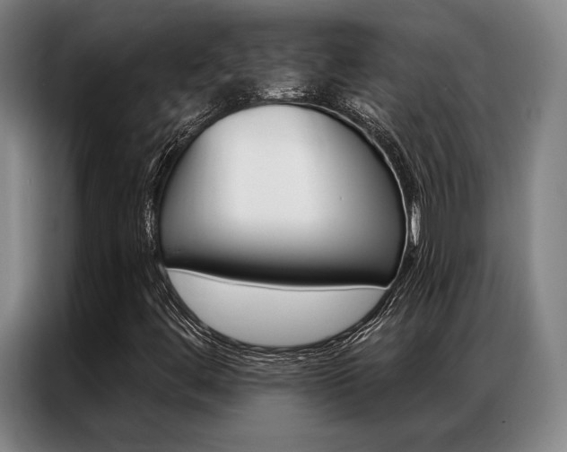 X0000087351444200704200754