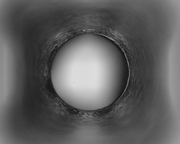 X0000087351445200704200754