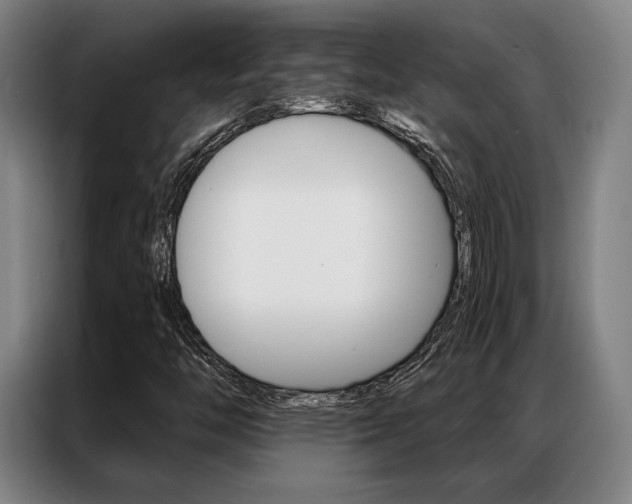 X0000087351446200704200754
