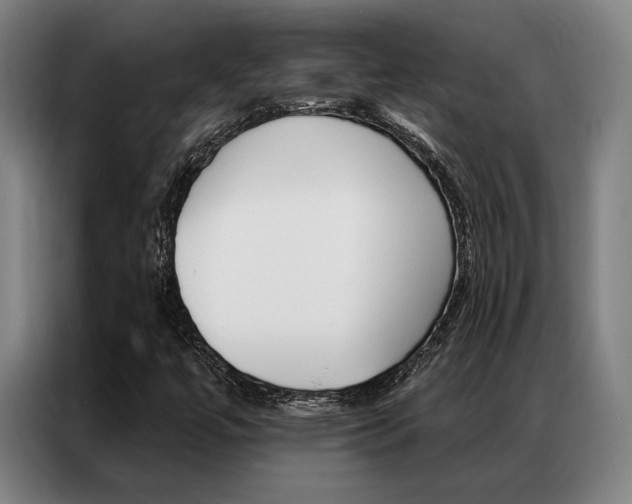 X0000087351447200704200754