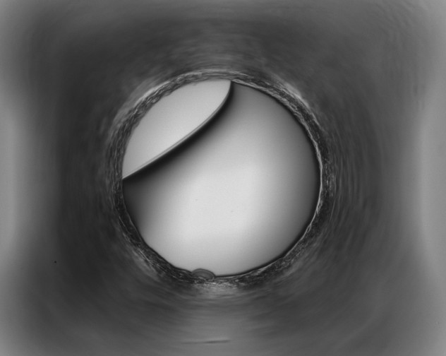 X0000087351448200704200754