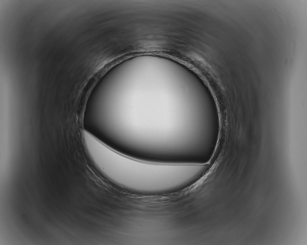 X0000087351449200704200754