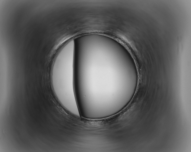 X0000087351453200704200754