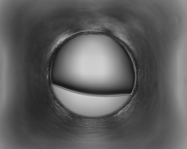 X0000087351455200704200754