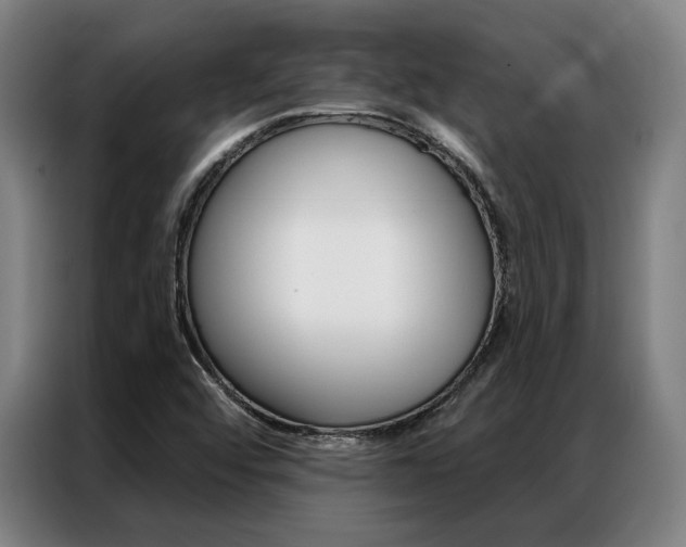 X0000087351456200704200754