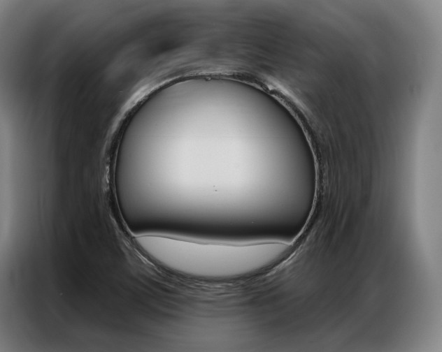 X0000087351459200704200754