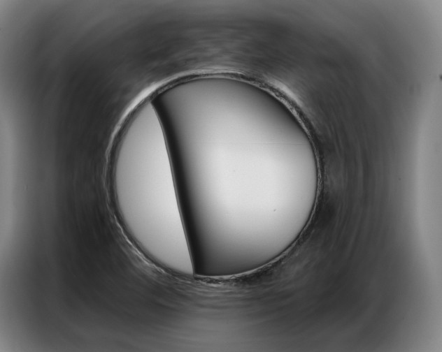 X0000087351460200704200754