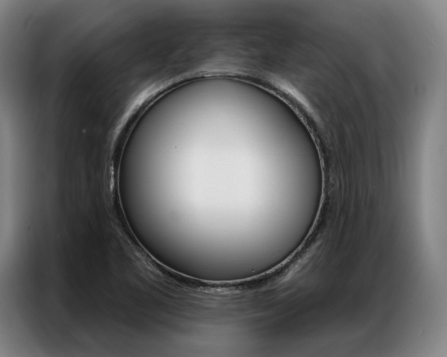 X0000087351461200704200754