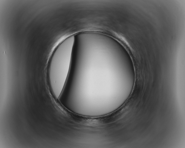 X0000087351463200704200754