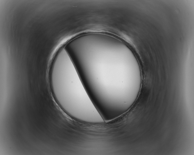 X0000087351464200704200754