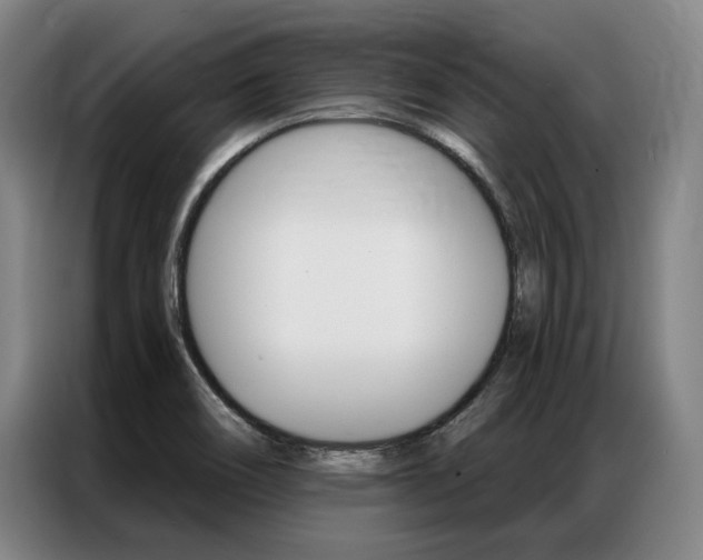 X0000087351466200704200754