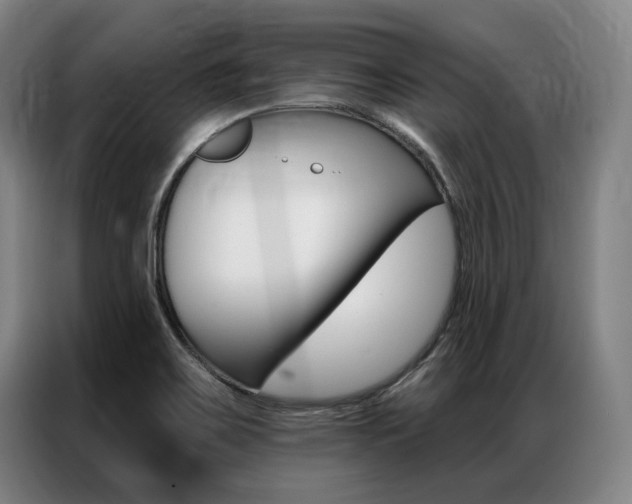 X0000087351467200704200754