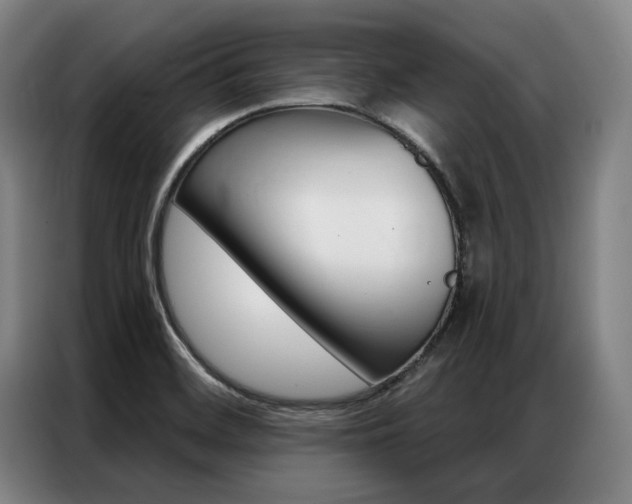 X0000087351468200704200754