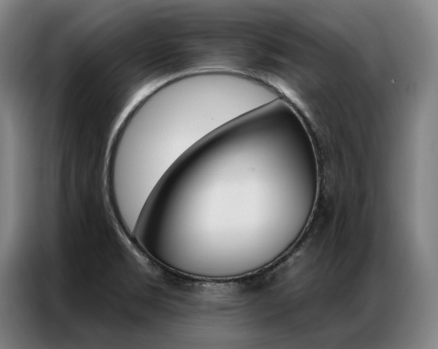 X0000087351469200704200754