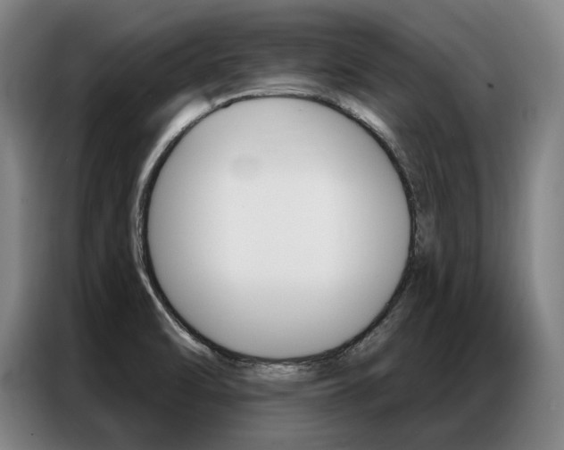 X0000087351470200704200754