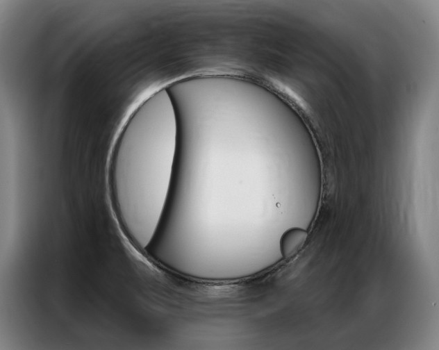 X0000087351471200704200754