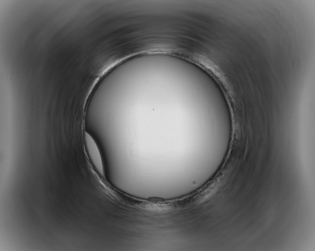 X0000087351473200704200754