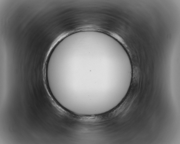 X0000087351474200704200754