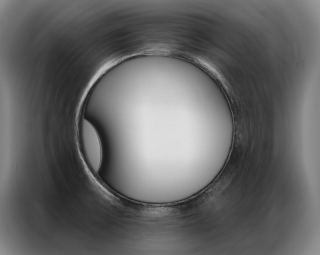 X0000087351475200704200754