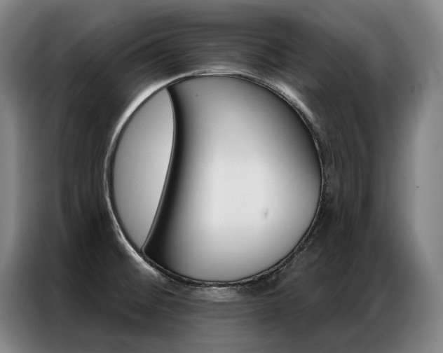 X0000087351476200704200754