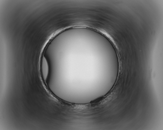 X0000087351477200704200754