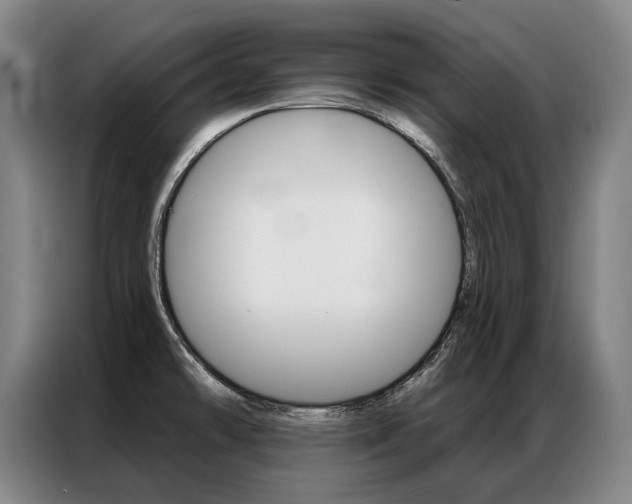 X0000087351478200704200754