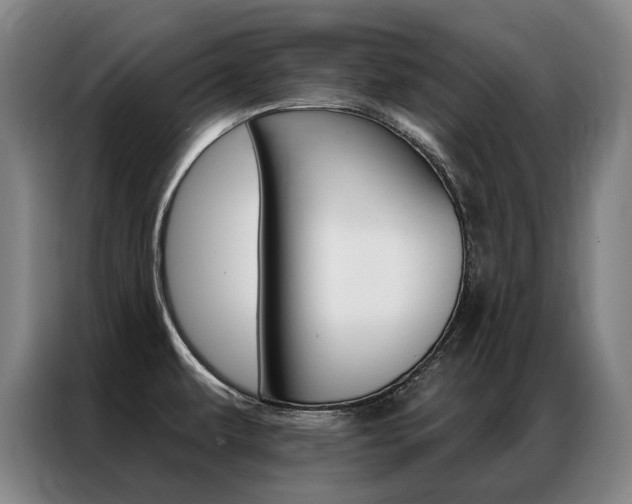 X0000087351479200704200754
