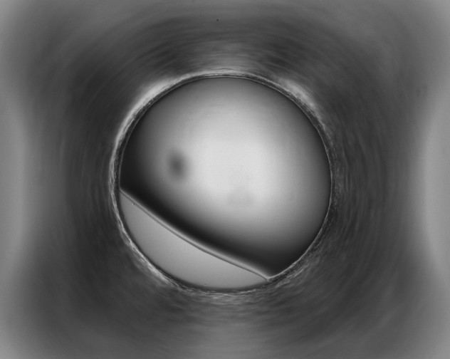 X0000087351480200704200754