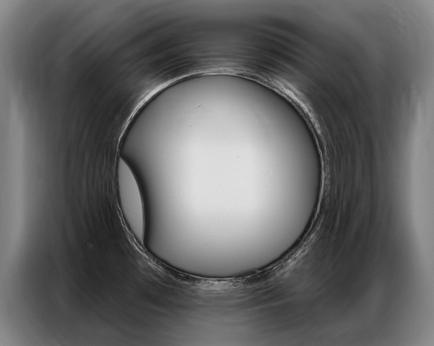 X0000087351481200704200754