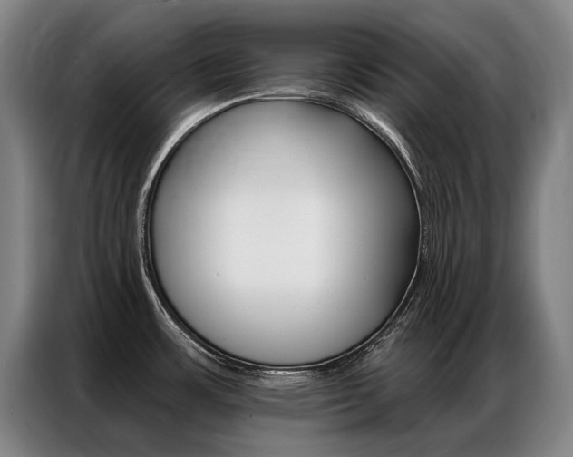 X0000087351483200704200754