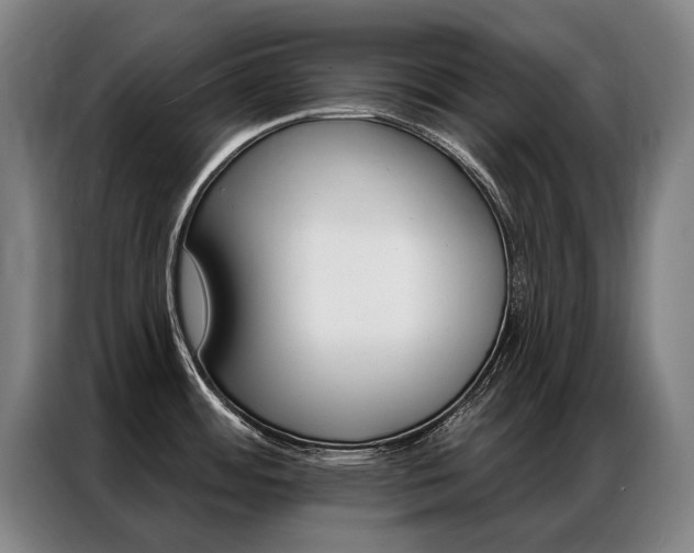 X0000087351484200704200754